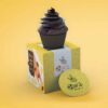 Custom Cupcake Boxes_02