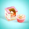 Custom Cupcake Boxes_03