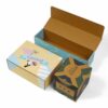 Tuck Top Mailer Boxes_01